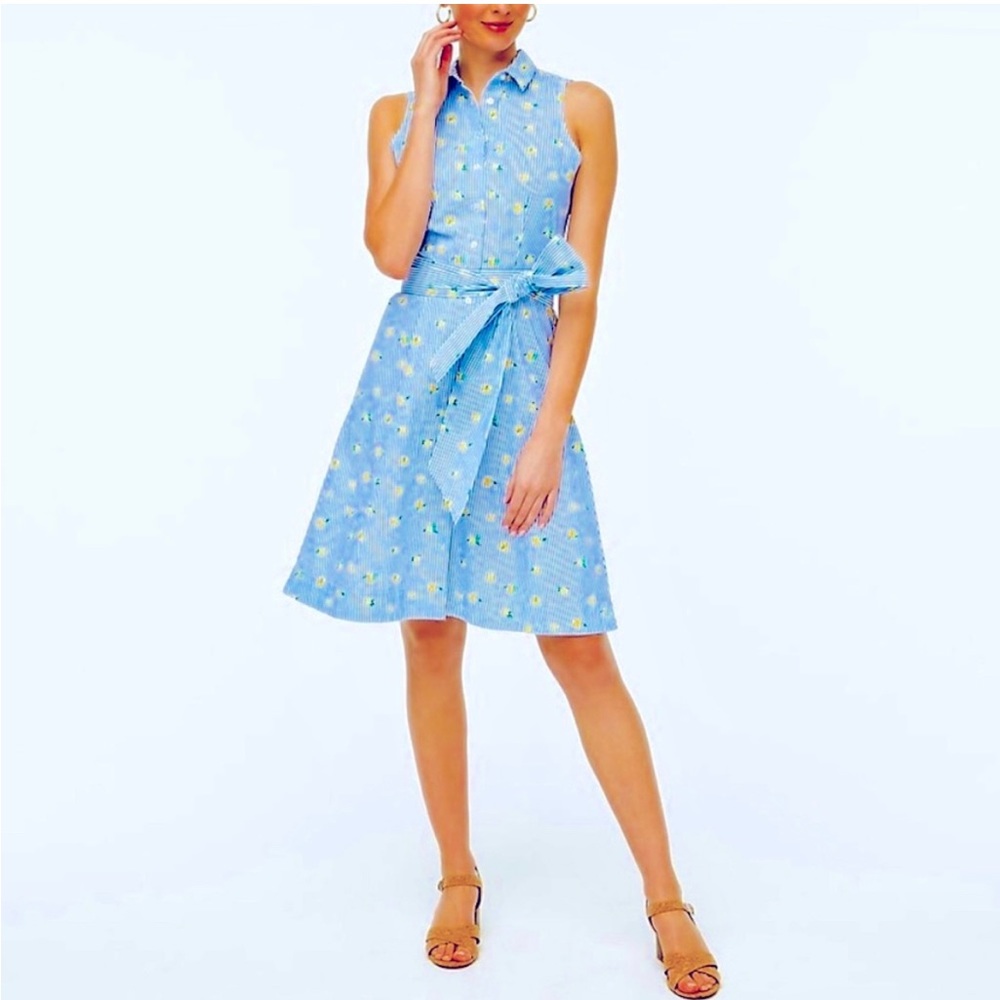 NWOT 🍋 J. Crew Lemon Print Shirt Dress